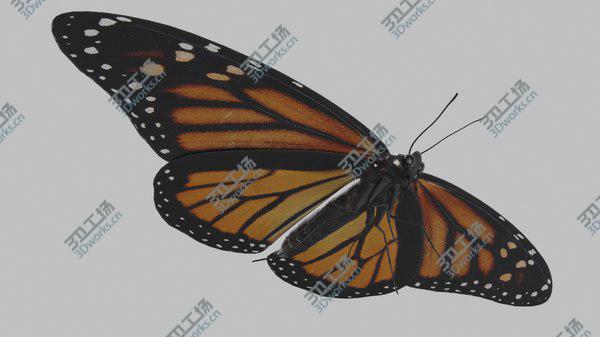 images/goods_img/20210312/Butterfly Collection 3D model/5.jpg